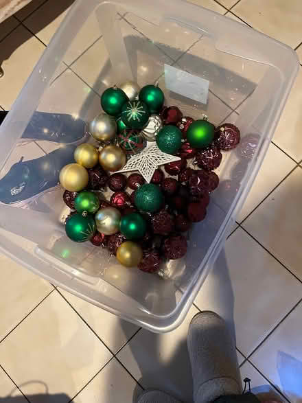 Photo of free Christmas dey (Mississauga. Mavis and Rathbur) #2