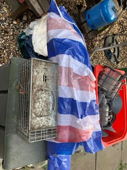 Photo of free Old windbreak (Chesham HP5) #1