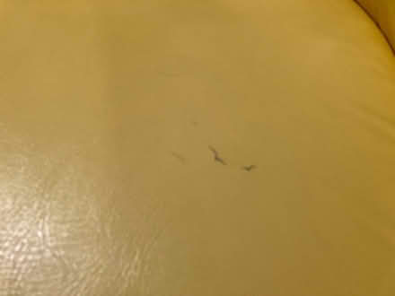 Photo of free Pair of vinyl yellow swivel chairs (Fruitland, MD) #2