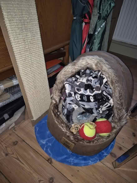 Photo of free cat bed and scratching board (N18 1QD) #1