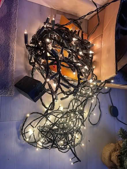 Photo of free Xmas Lights (kenilworth CV8) #1