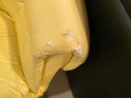 Photo of free Pair of vinyl yellow swivel chairs (Fruitland, MD) #3