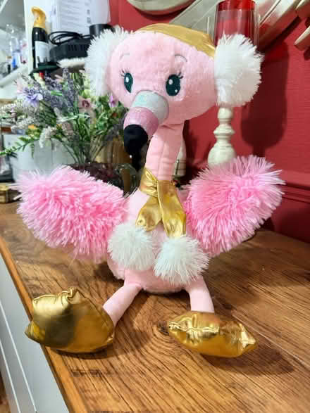 Photo of free Singing Flamingo (Whitton TW3) #1
