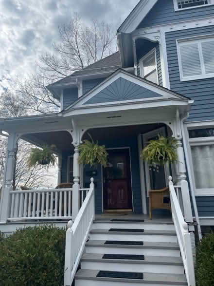 Photo of free 3 large porch ferns (Kingston, NY) #1