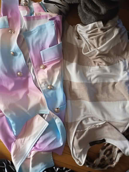 Photo of free miscellaneous woman's clothes (St Clair Shores) #3