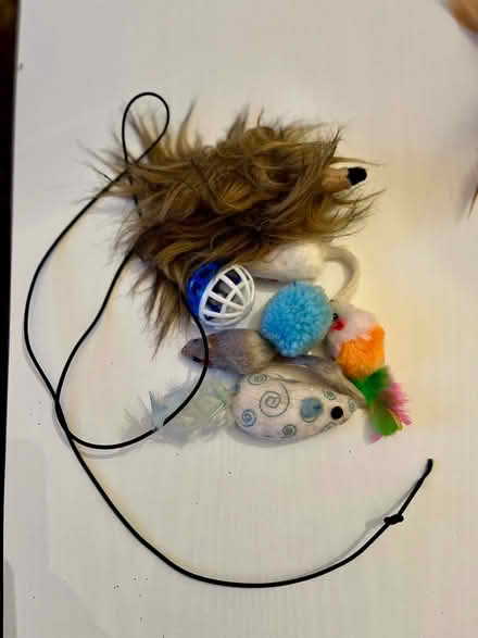 Photo of free Cat toys #4 (WN7) #1