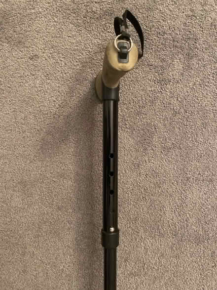 Photo of free Walking stick (Craiglockhart EH14) #2