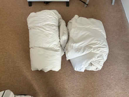 Photo of free Two Single Feather Duvets (Kingston upon Thames KT1) #1