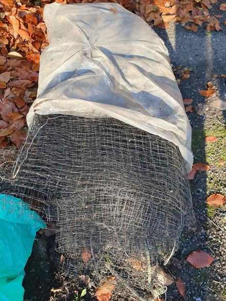 Photo of free Netting (for garden?) (Caterham on the Hill CR3) #1