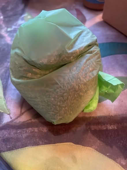 Photo of free Bag full of bird seeds (Chalk Farm NW1) #1