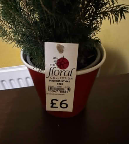 Photo of free Mini Christmas tree (Bishop Stortford) #2