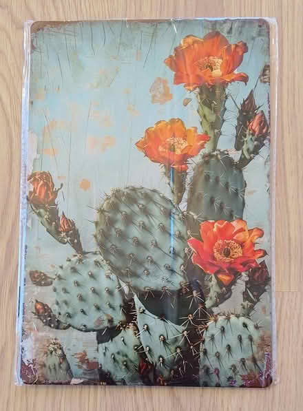 Photo of free 3 cactus metal wall art pieces (Stirling FK8) #1