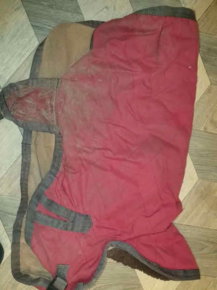 Photo of free cosy dog coat size m/l (AB32) #4