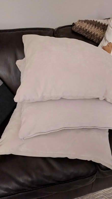 Photo of free couch pillows (Hayward Downtown) #2