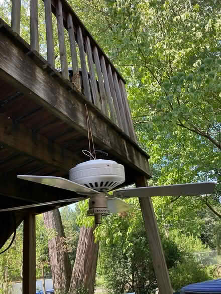 Photo of free ceiling fan (Brookland) #2