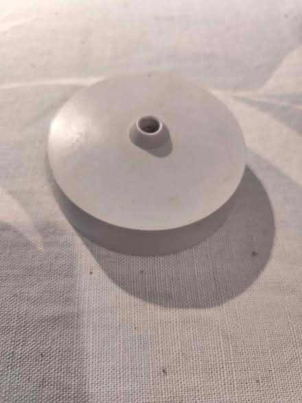 Photo of free Ceiling Rose (Manchester M19) #1