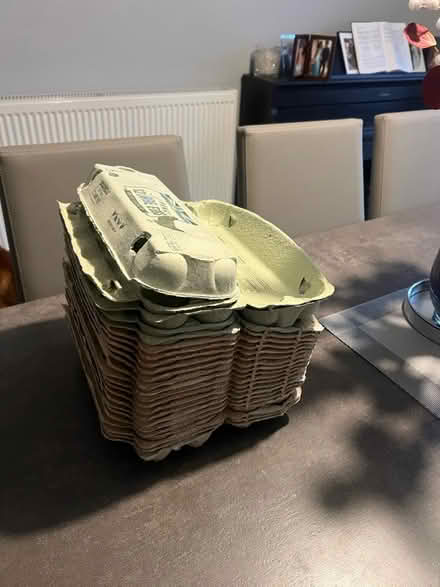 Photo of free egg boxes (Hollins BL9) #2
