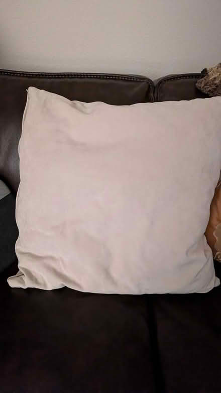 Photo of free couch pillows (Hayward Downtown) #1