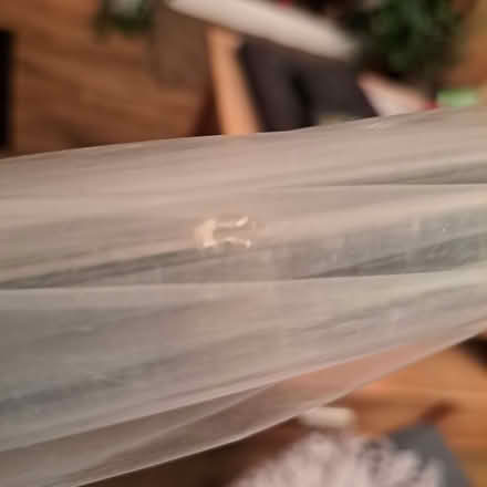 Photo of free Clear domed spring operated umbrella (Charminster BH8) #3
