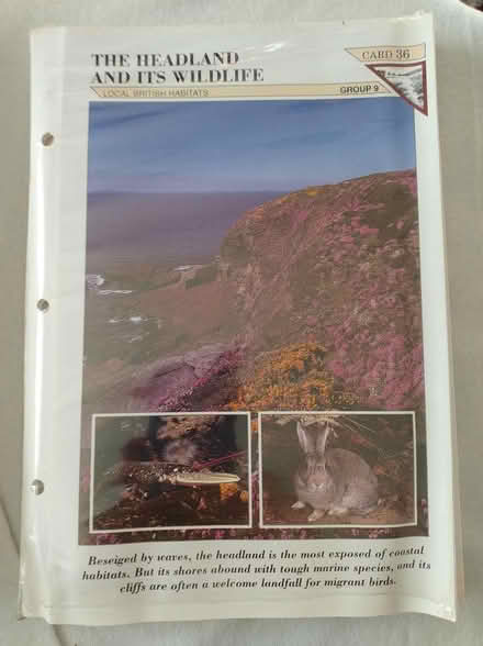 Photo of free Wildlife Info cards (Great Totham) #4
