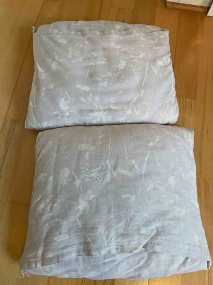 Photo of free Cushions (Abingdon OX14) #2