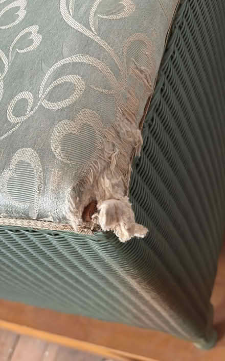 Photo of free Ottoman (Badcox area Frome BA11) #2