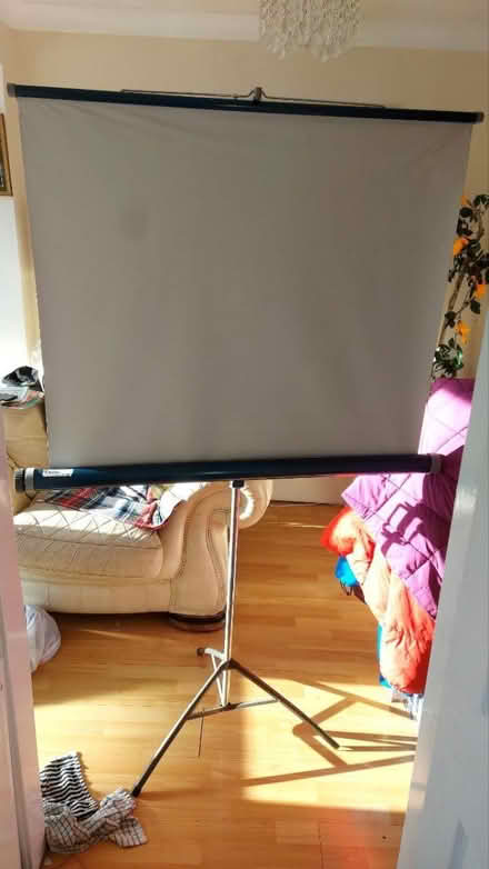 Photo of free Projector screen fully working (Bewdley DY12) #1