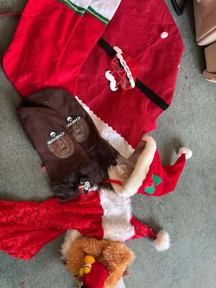 Photo of free Xmas Hats & Stockings (Denvilles Havant PO9) #2
