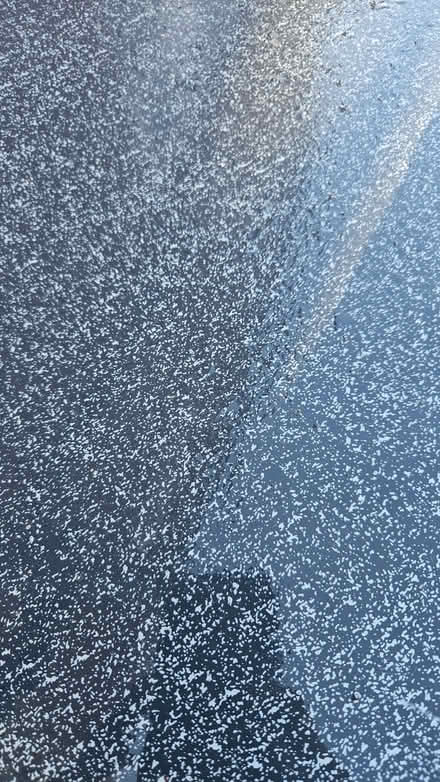 Photo of free Square glass and metal table (Littleover DE23) #2