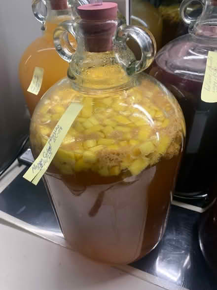 Photo of Large Carboy/Wine Fermenter (New Farnley LS12) #2