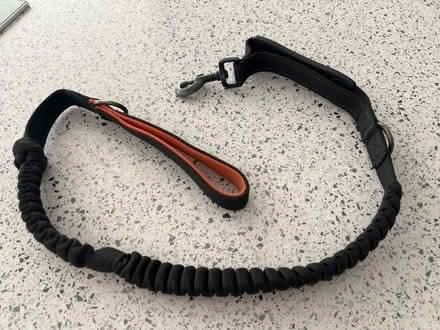 Photo of free Very strong non extendable lead for large dog. (Swindon SN3) #1