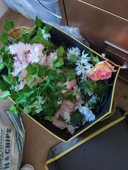 Photo of free Artificial flowers (Brunswick BN3) #2