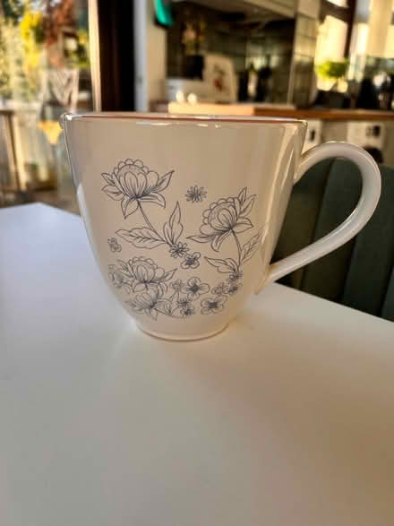 Photo of free Jug (Brentwood CM14) #1