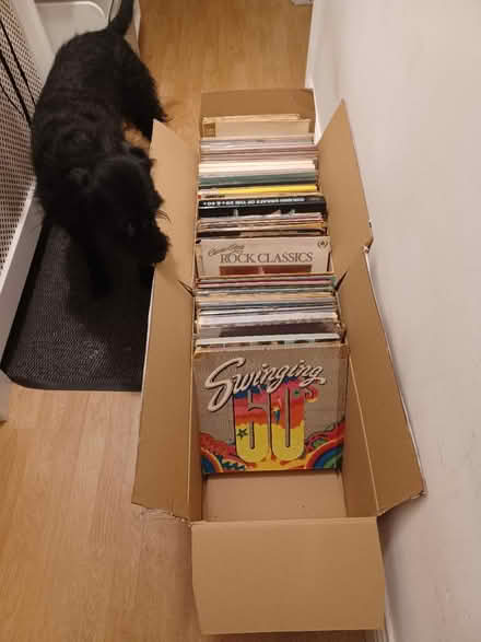 Photo of free Assorted Vinyl Albums (BL8 Tottington, Bury) #1