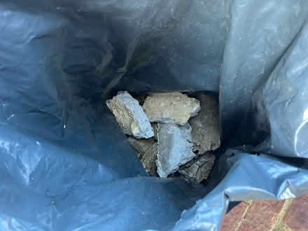 Photo of free Hardcore (Cooden TN39) #2