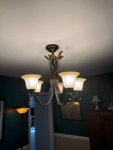 Photo of free Elegant chandelier (West Chester) #2