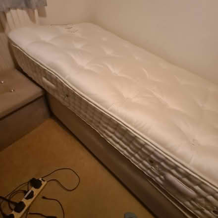 Photo of free Single bed (Southgate RH11) #2