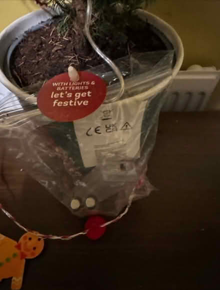 Photo of free Large Christmas tree (Bishop Stortford) #2