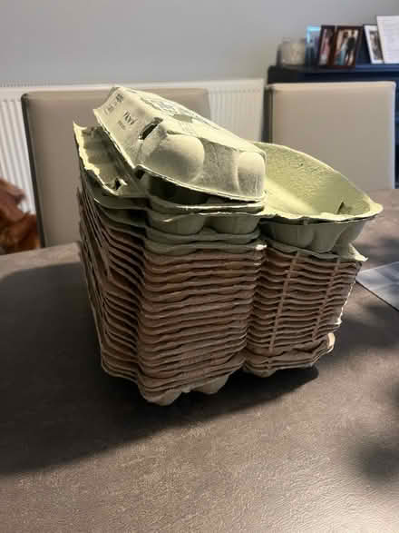 Photo of free egg boxes (Hollins BL9) #1