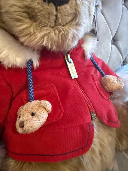 Photo of free Harrods 2007 teddy bear (Carshalton) #3