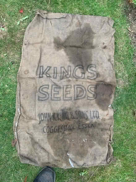 Photo of free Bag of hessian sacks (Lexden, CO3) #4