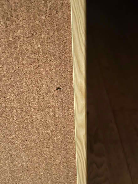 Photo of free Pin Board (Horsell) #4