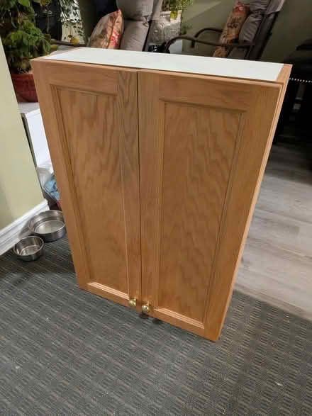 Photo of free Medicine Cabinet (Glebe / Dow's Lake) #1