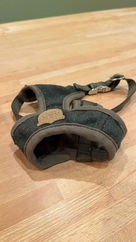 Photo of free SMALL puppy/dog harness (KT8 [Molesey]) #2