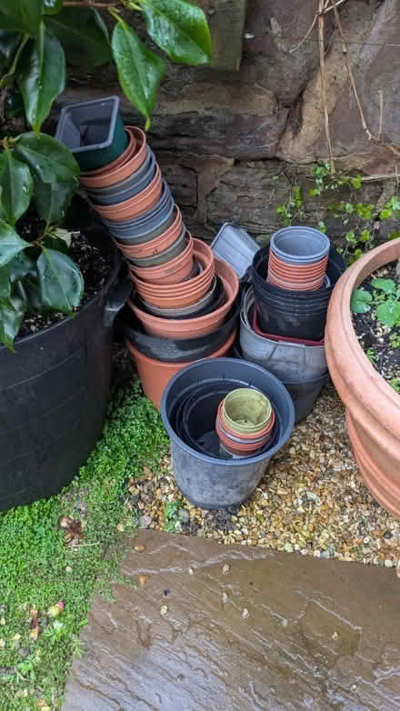 Photo of free Assortment of garden pots (CH43) #1