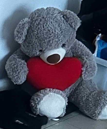 Photo of free teddy (Lee) #1