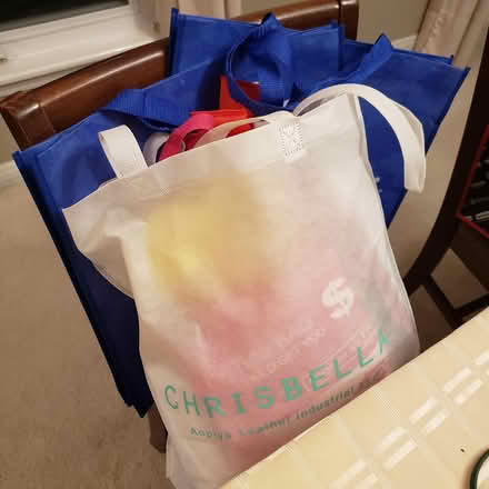 Photo of free Bag of environment bags (East Mississauga) #1