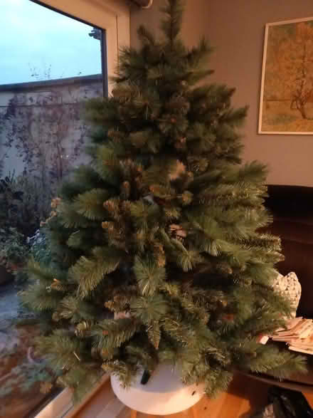 Photo of free christmas tree (RG6 near Palmer Park) #1