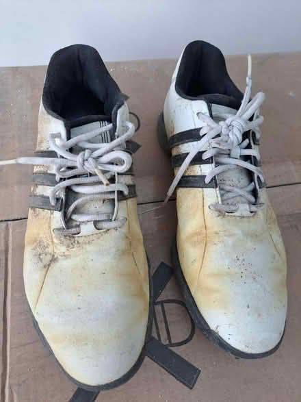 Photo of free Adidas size 10 gold shoes (Heswall) #1