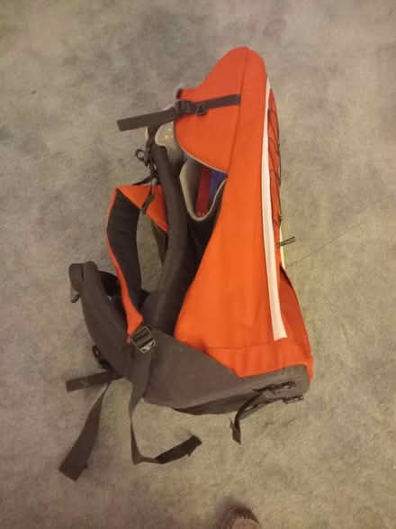 Photo of free Toddler Backpack Carrier (Lisvane CF14) #2
